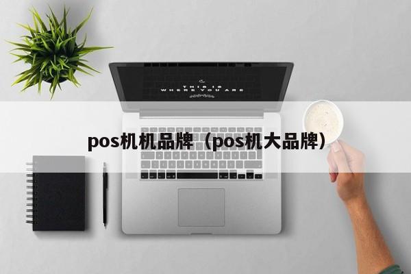 pos机机品牌（pos机大品牌）