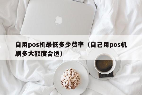 自用pos机最低多少费率（自己用pos机刷多大额度合适）