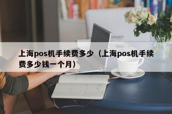上海pos机手续费多少（上海pos机手续费多少钱一个月）