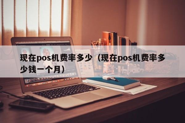 现在pos机费率多少（现在pos机费率多少钱一个月）