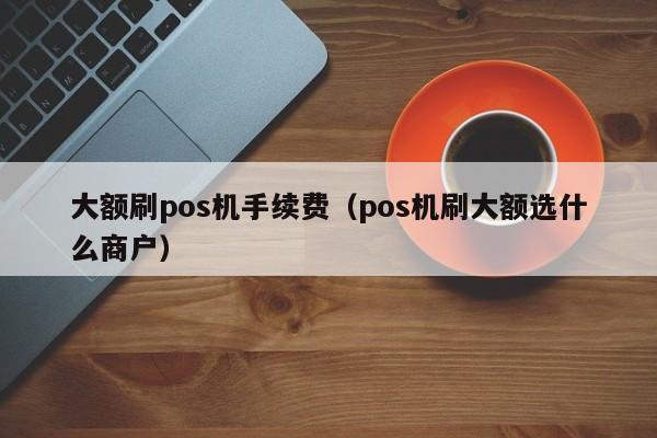 大额刷pos机手续费（pos机刷大额选什么商户）
