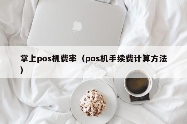 掌上pos机费率（pos机手续费计算方法）