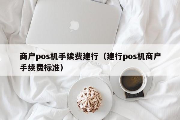 商户pos机手续费建行（建行pos机商户手续费标准）