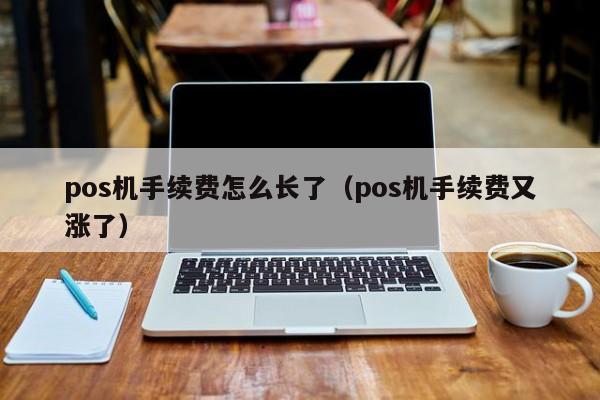 pos机手续费怎么长了（pos机手续费又涨了）