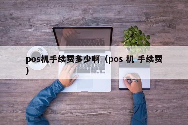 pos机手续费多少啊（pos 机 手续费）