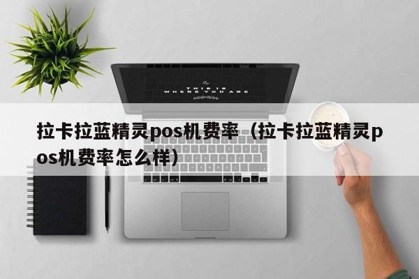 拉卡拉蓝精灵pos机费率（拉卡拉蓝精灵pos机费率怎么样）