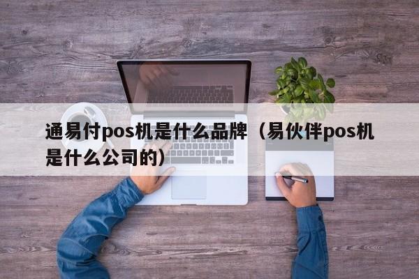 通易付pos机是什么品牌（易伙伴pos机是什么公司的）