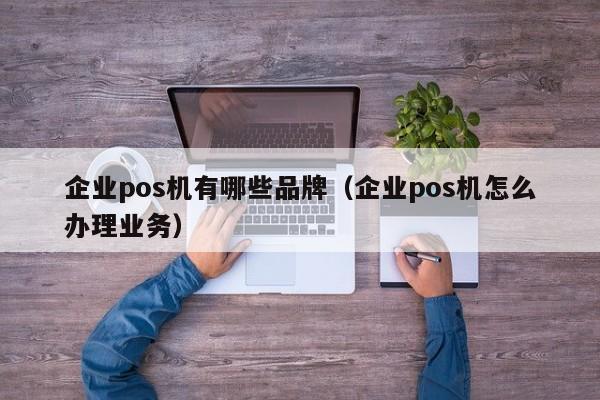 企业pos机有哪些品牌（企业pos机怎么办理业务）