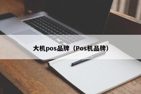 大机pos品牌（Pos机品牌）