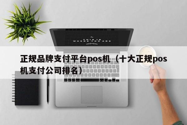 正规品牌支付平台pos机（十大正规pos机支付公司排名）